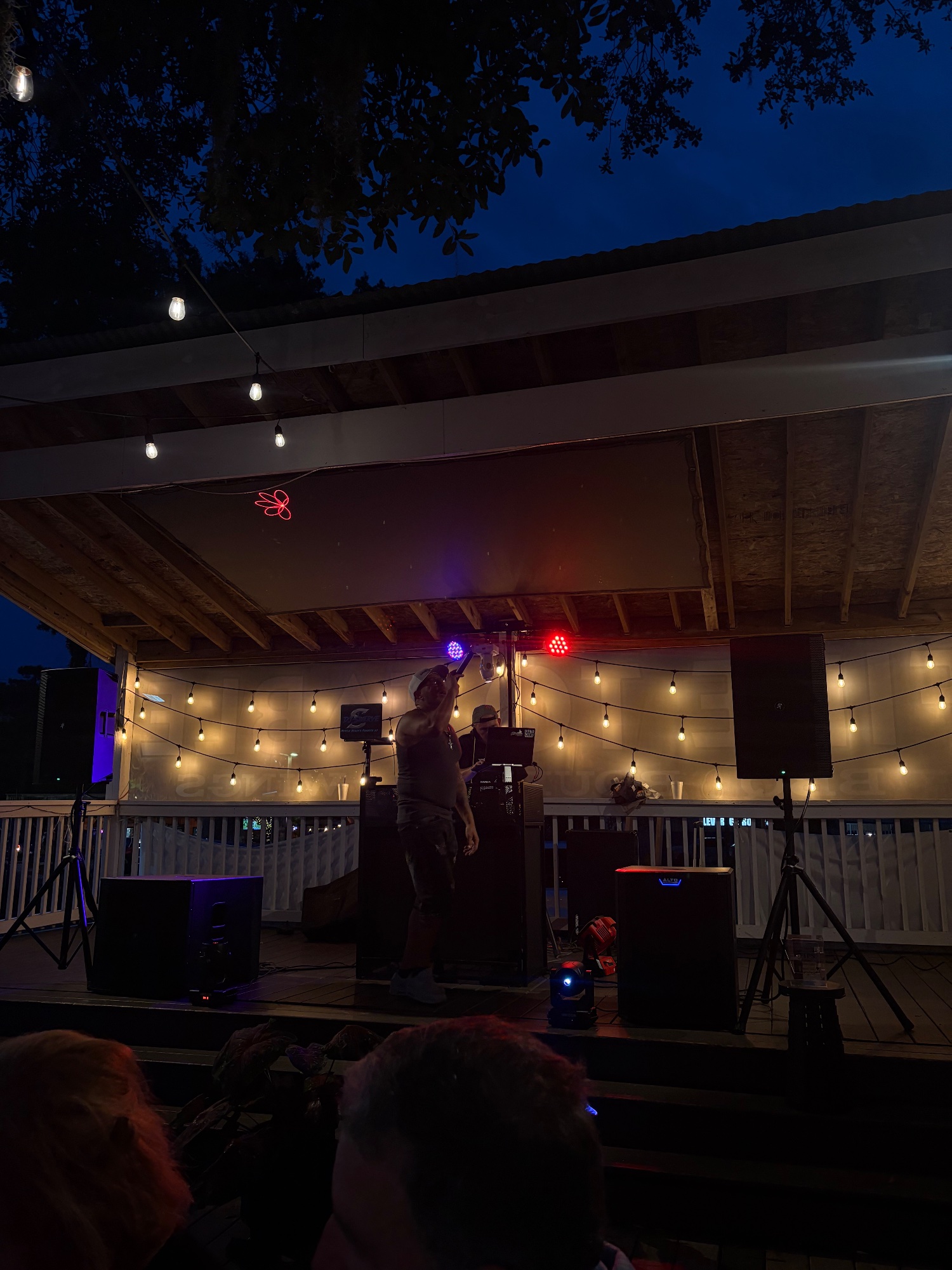 Fan photo of DJ Swerve by Giulz